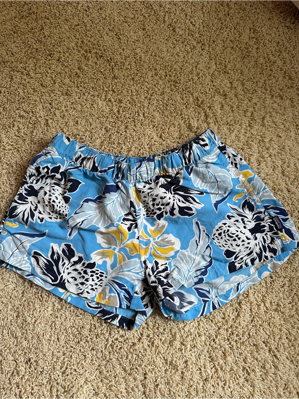 Patagonia women’s baggies shorts